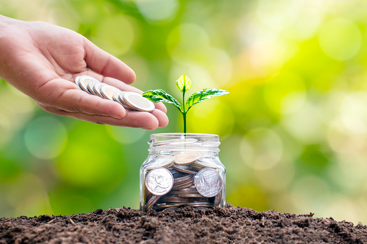 Terms Deposit Account (5% Interest)