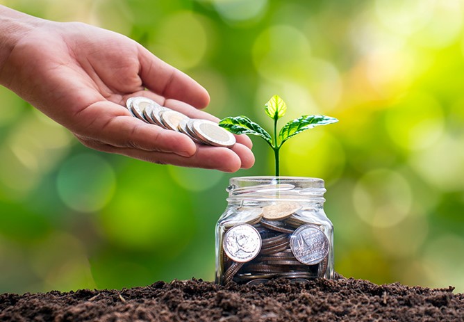 Loan within Shares